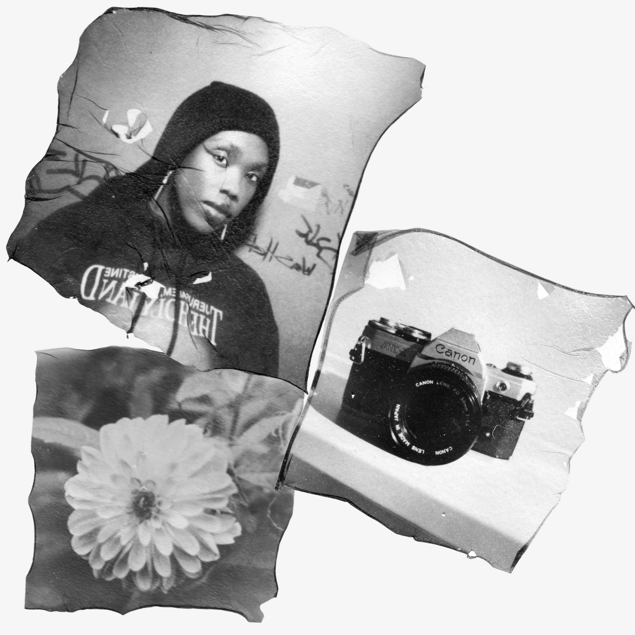 Polaroid Emulsion Lift Workshop
