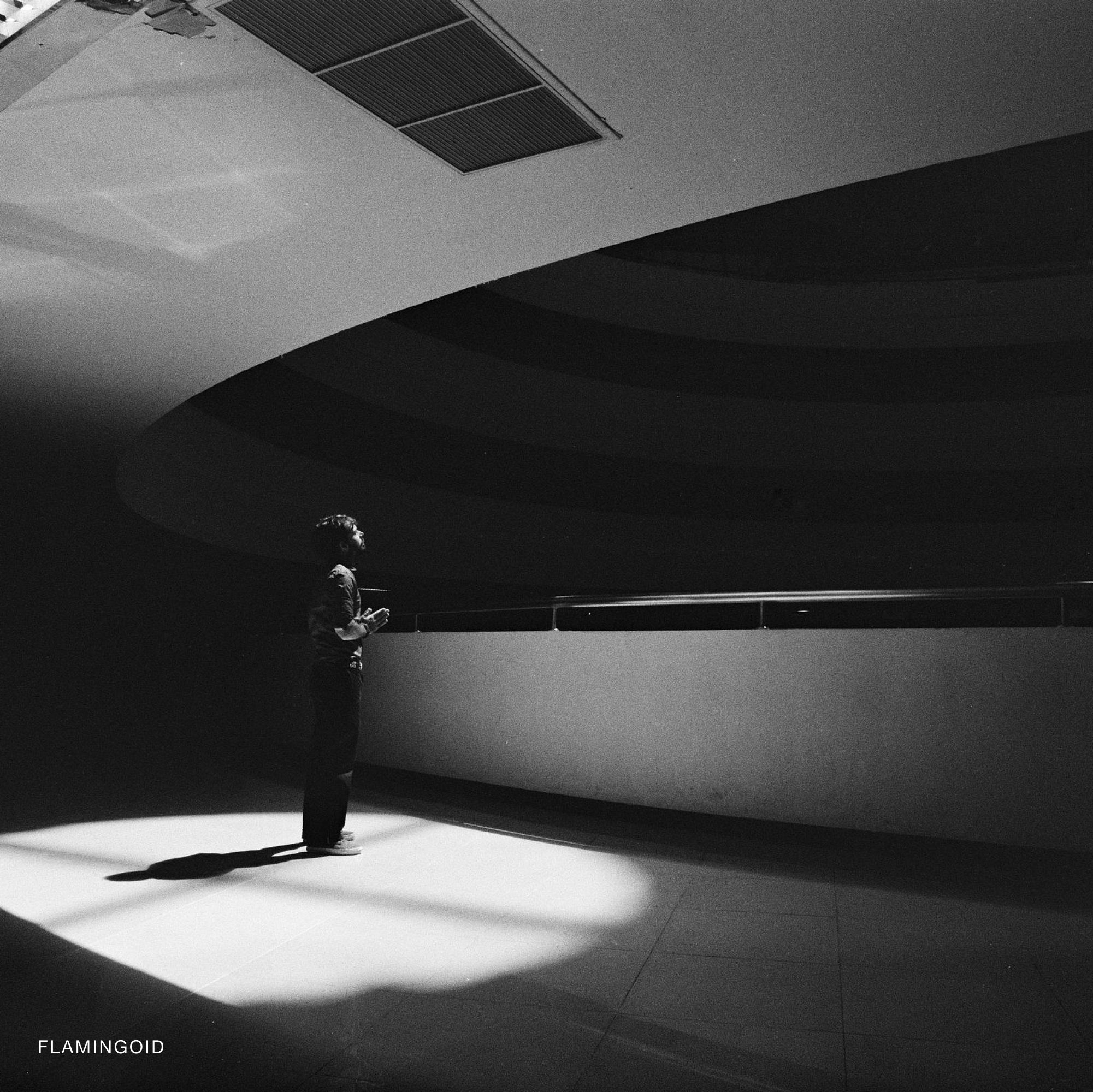 Fujifilm Neopan Acros 100 II フィルム | Analogue Shop