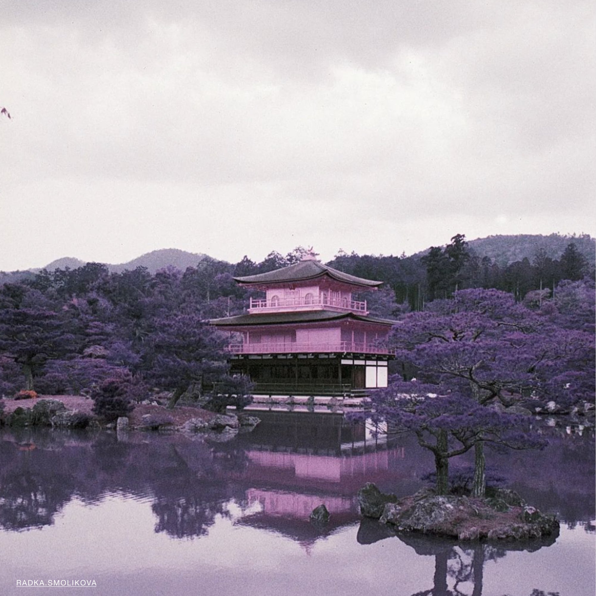 LomoChrome Purple Pétillant