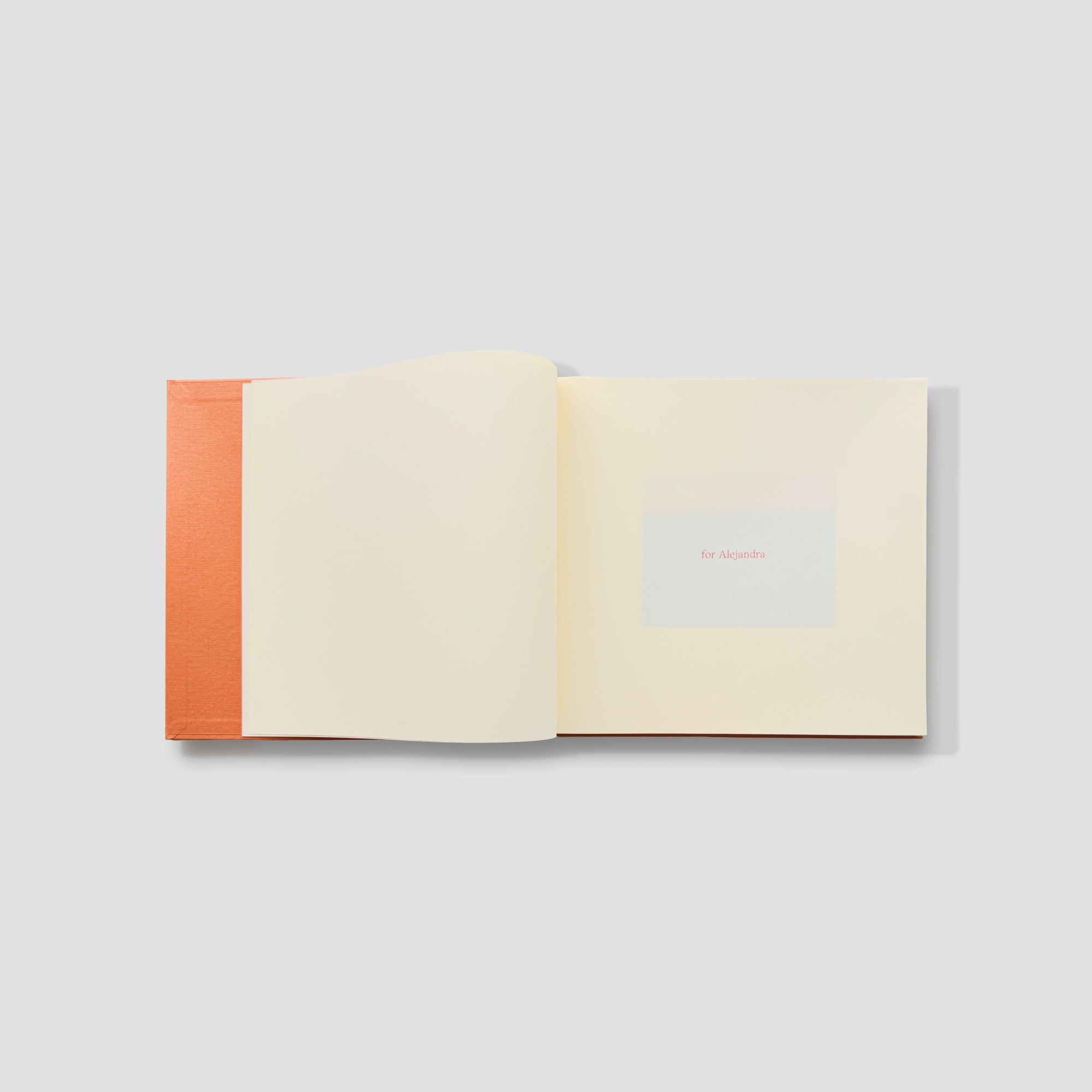 I went on holiday to the country you fled from - Iris Haverkamp Bergmann (book)