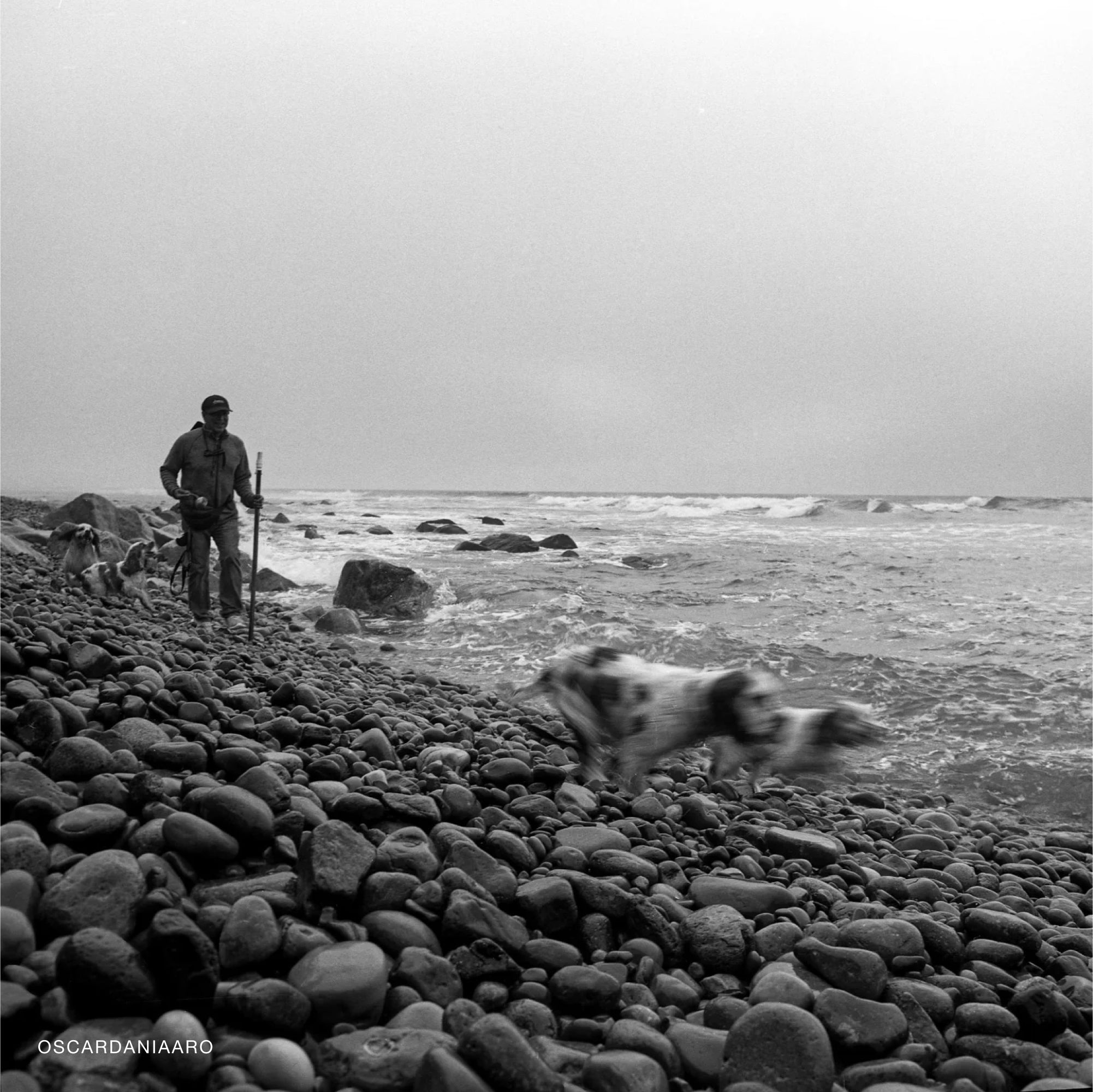 Kodak TMax 100 120mm