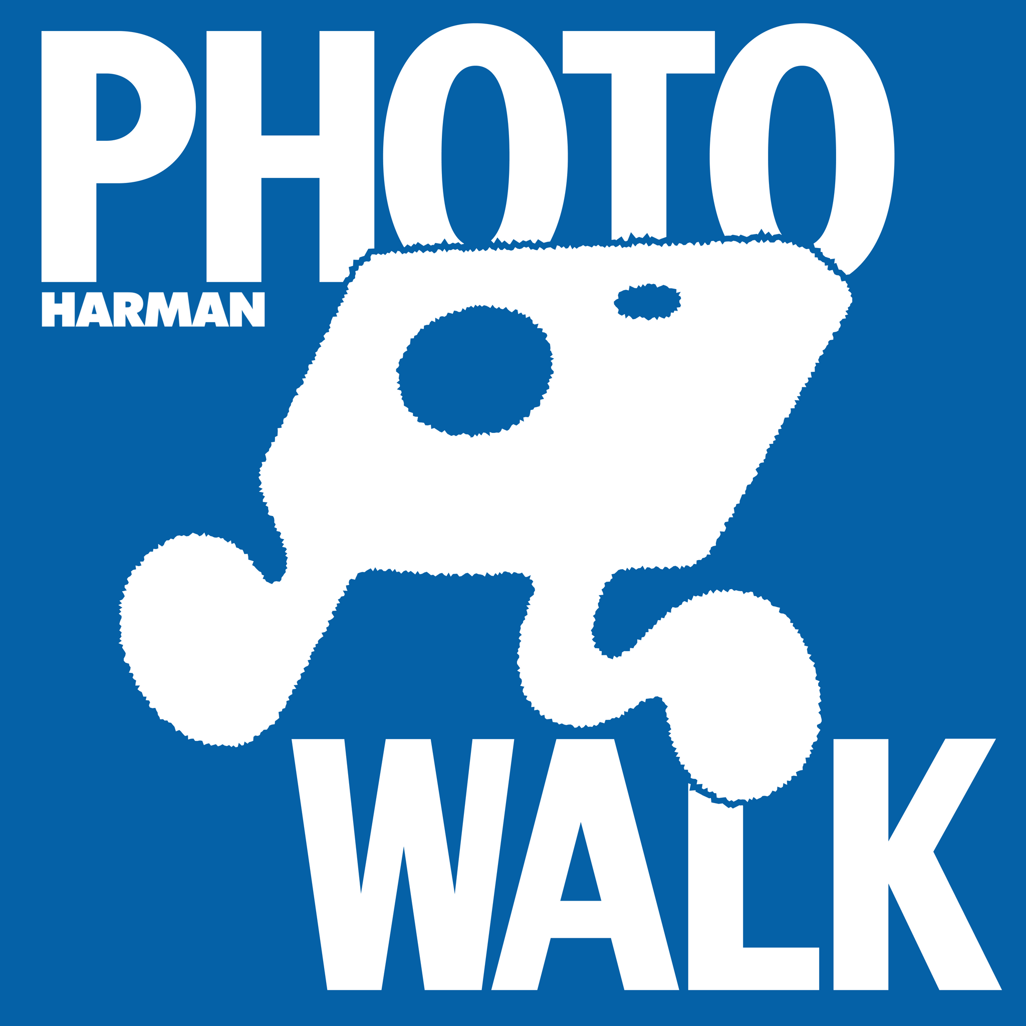 Analogue x Harman Photowalk