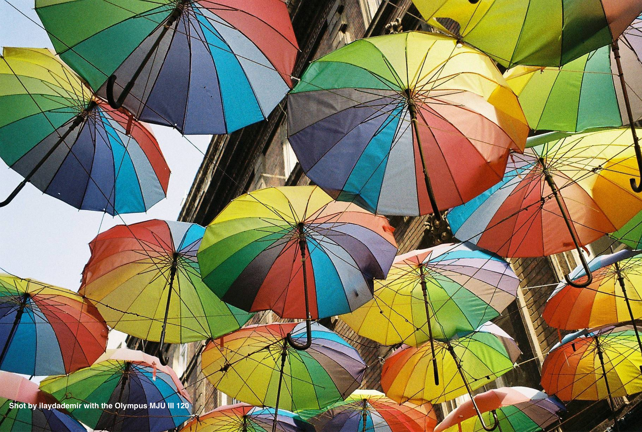 Olympus Mju Iii 120 Mm Sample Picture TOUT NEUF-Olympus Mju III