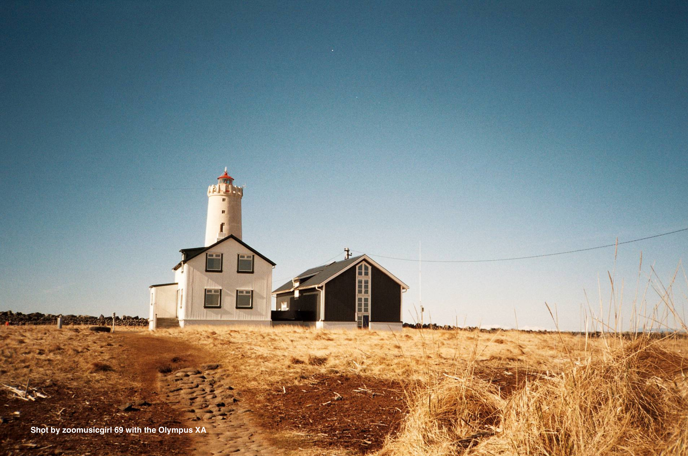 Olympus XA – Analogue Shop